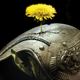 Image for article titled The "Heroic Translators" Who Reinvented Classic Science Fiction In China